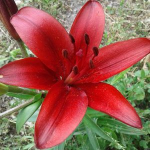 Meet your Posher, Kitty